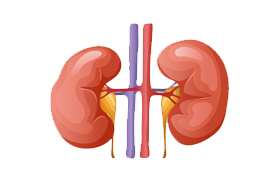 Nephrology